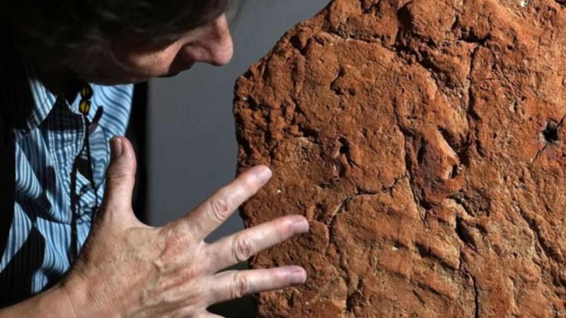 اكتشاف بصمة يد تعود إلى 4 آلاف عام على قطعة أثرية بمصر