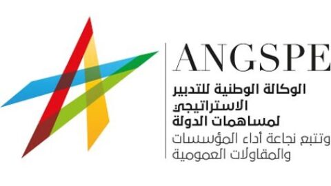 وكالة التدبير الاستراتيجي تصدر أول تقرير عن الدولة المساهمة