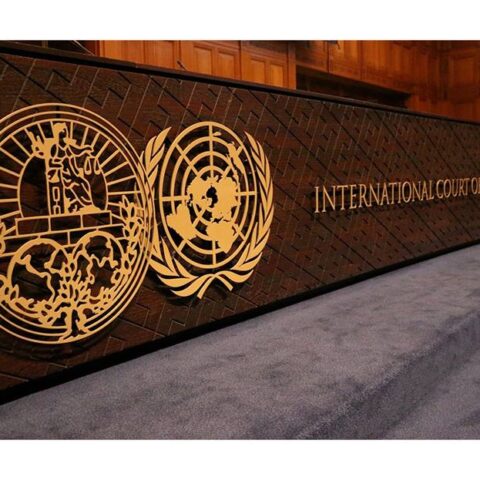 هولندا وأيسلندا تنضمان إلى دعوى جنوب إفريقيا أمام محكمة العدل الدولية ضد الاحتلال الإسرائيلي