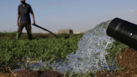 رغم كلفتها.. مياه البحر المحلاة “طوق نجاة” الزراعة بجهة سوس