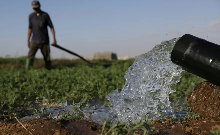رغم كلفتها.. مياه البحر المحلاة “طوق نجاة” الزراعة بجهة سوس