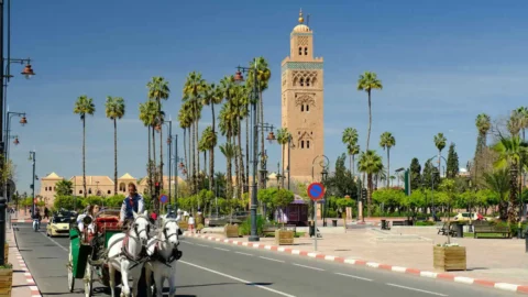 بسبب الفساد وتضارب المصالح.. حقوقيون يطالبون بمحاسبة مسؤولين في مراكش
