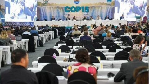 كانت تهدف للمس بوحدته الترابية.. المغرب يتصدى لمحاولة تسييس اتفاقية “رامسار” بشأن المناطق الرطبة
