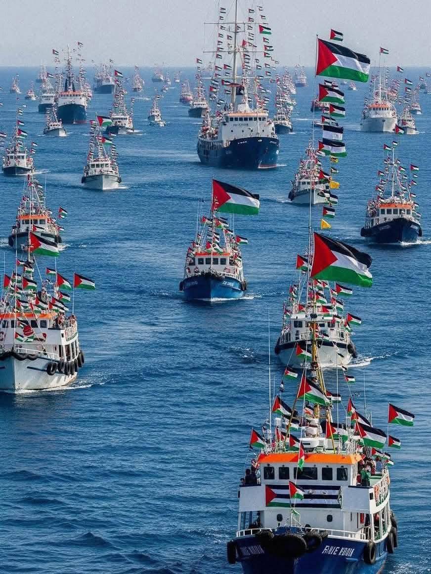 فرنسا تعتزم اللجوء إلى القضاء ضد معاملة الاحتلال لناشطين في أسطول غزة