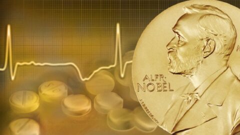 نوبل الطب 2025 تكافئ اكتشاف الخلايا الحارسة للجهاز المناعي