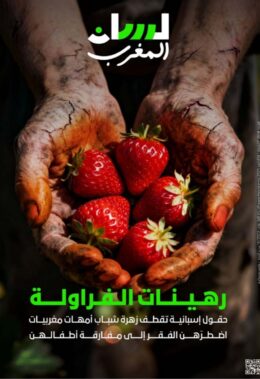 رهينات الفراولة