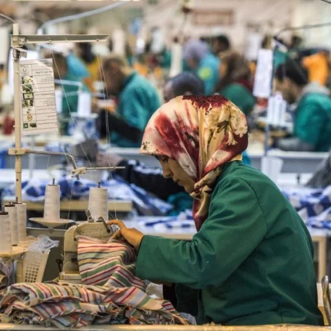 بنسبة 19%.. تقرير يحذر من انخفاض مشاركة المرأة في سوق العمل