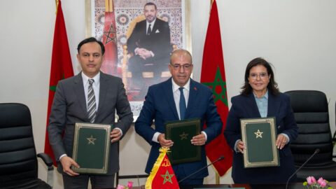 “تكوين 17 ألف شاب سنويا”.. توقيع اتفاقيتين لتطوير التكوين بالتدرّج في الفلاحة والصيد البحري