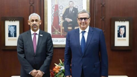 أخنوش يتباحث بالرباط مع رئيس مجموعة البنك الإفريقي للتنمية