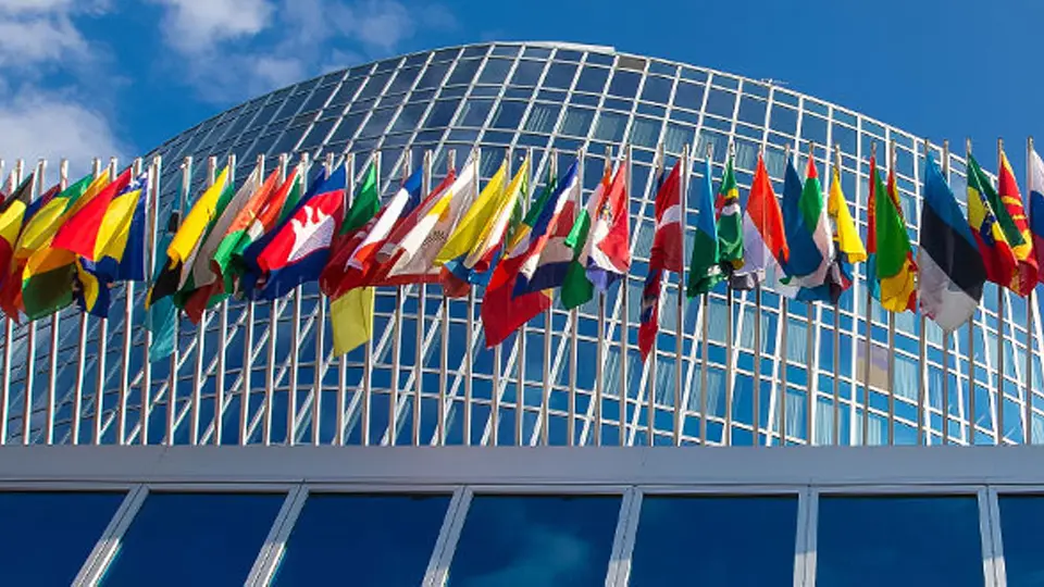 منظمة: تسجيل أرقام قياسية لطلبات حقوق الملكية الفكرية سنة 2024