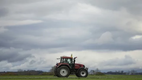 الاتحاد الأوروبي يصر على اتفاقية التجارة الحرة مع “ميركوسور”