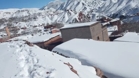 “نحن نموت هنا”.. الثلوج تحاصر سكان آيت اعبي بإقليم أزيلال وتهدد ماشيتهم