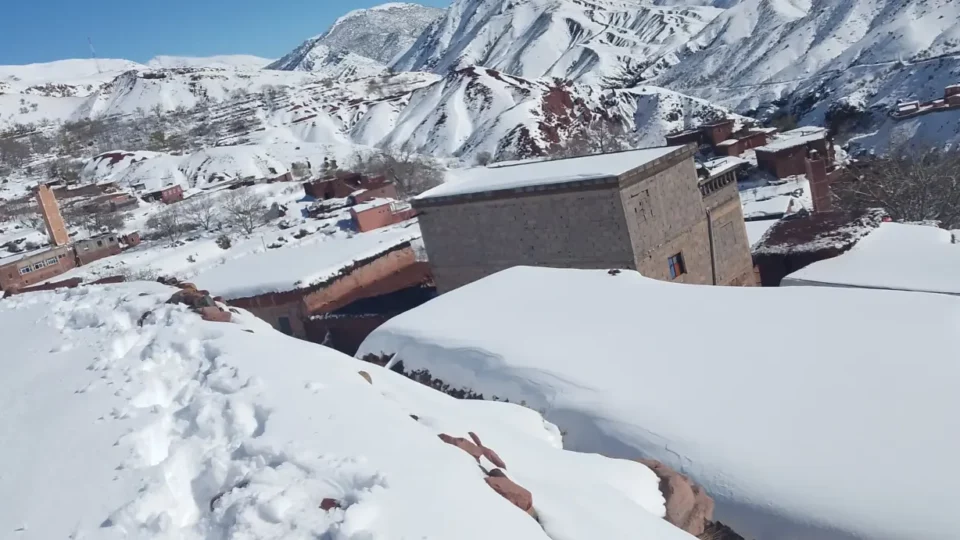 “نحن نموت هنا”.. الثلوج تحاصر سكان آيت اعبي بإقليم أزيلال وتهدد ماشيتهم