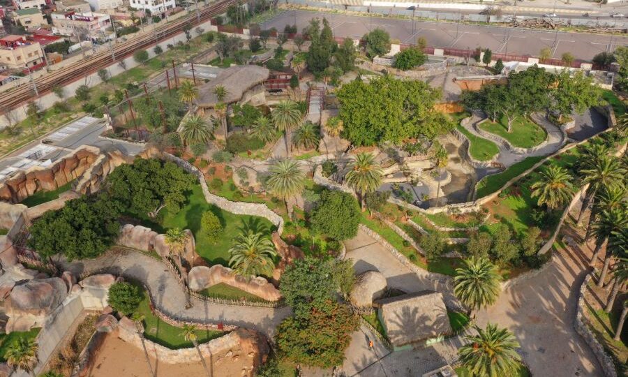 بعد تأجيلات متكررة.. عمدة البيضاء تحدد تاريخ افتتاح حديقة الحيوانات “عين السبع”