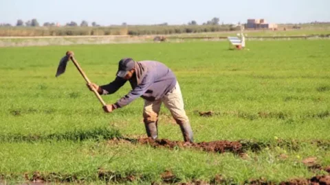 تقرير: التساقطات الأخيرة غير كافية لإنهاء أزمة الماء الهيكلية