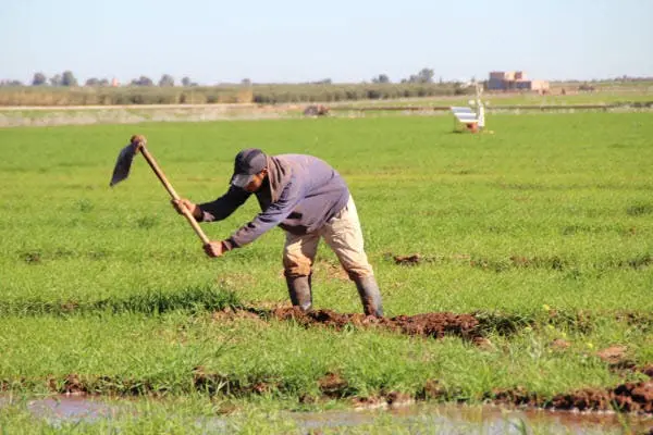 تقرير: التساقطات الأخيرة غير كافية لإنهاء أزمة الماء الهيكلية