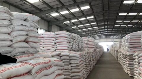 مجلس المنافسة: دعم المطاحن يحمي الأمن الغذائي لكنه يضعف المنافسة