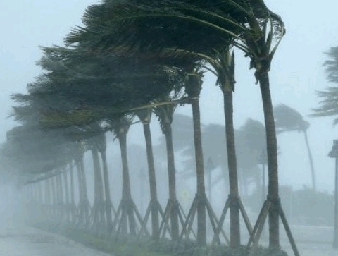 نشرة إنذارية.. زخات رعدية محليا قوية وهبات رياح عاصفية قوية اليوم الجمعة