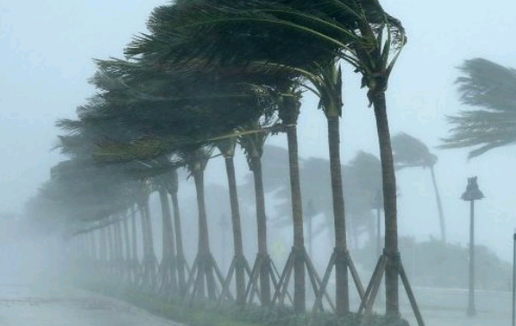 نشرة إنذارية.. تساقطات ثلجية وهبات رياح قوية الأربعاء