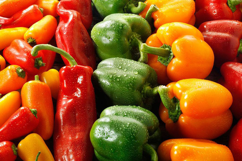 بقيمة 240 مليون دولار.. صادرات المغرب من الفلفل الحلو تسجل رقما قياسيا