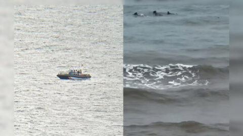 في ظروف مناخية صعبة.. عشرات الشباب يحاولون العبور إلى سبتة المحتلة