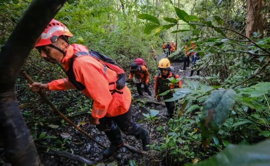 العثور على حطام طائرة مفقودة في شرق إندونيسيا ولا أثر لركابها