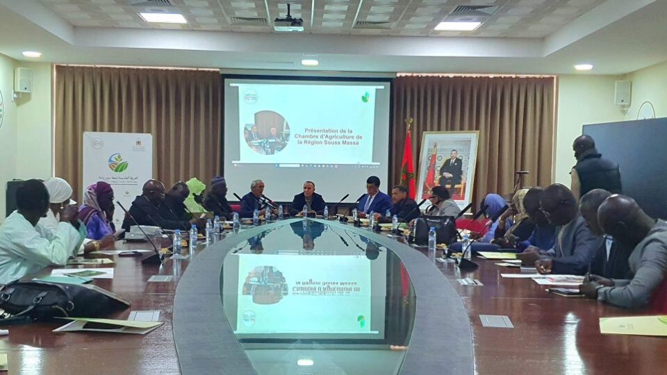 بعثة اقتصادية سنغالية في زيارة عمل لجهة سوس ماسة