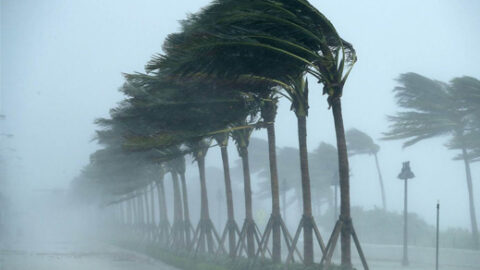 نشرة إنذارية.. رياح عاصفية قوية وتساقطات ثلجية وزخات رعدية بعدد من مناطق المملكة