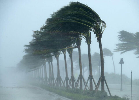 نشرة إنذارية.. أمطار رعدية وتساقطات ثلجية وهبات رياح قوية بعدد من مناطق المملكة