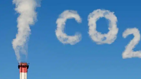 استقصاء: 70% من المقاولات الصغيرة والمتوسطة بالمغرب منخرطة في مسار إزالة الكربون