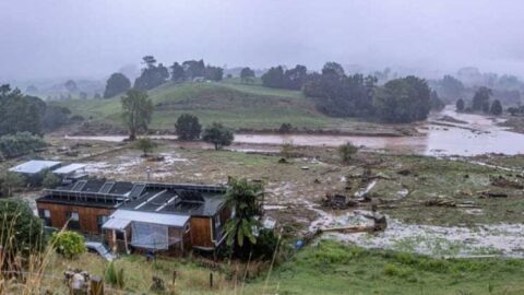 عاصفة قوية في نيوزيلندا تعطل الرحلات الجوية وتقطع الكهرباء عن الآلاف