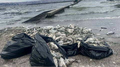 ليما تغلق أحد أشهر شواطئها بسبب التلوث