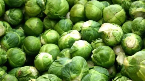 بقيمة 14 مليون دولار.. صادرات المغرب من الكرنب تسجل مستوى قياسيا خلال 2025