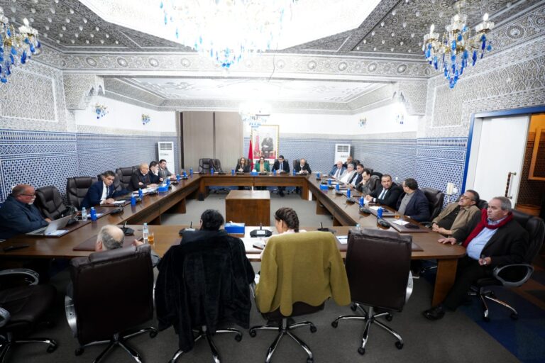 بوادر خلاف داخل الأغلبية بسبب قانون المحاماة.. “البام” يتهم جهات بإجهاض الوساطة البرلمانية وينتصر لوهبي