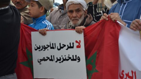 «أكال» تدعو لحماية شجر الأركان من الرعي الاستثماري