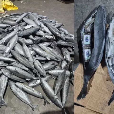 إحباط محاولة للتهريب الدولي للمخدرات وحجز ما يناهز 4 أطنان من مخدر الشيرا