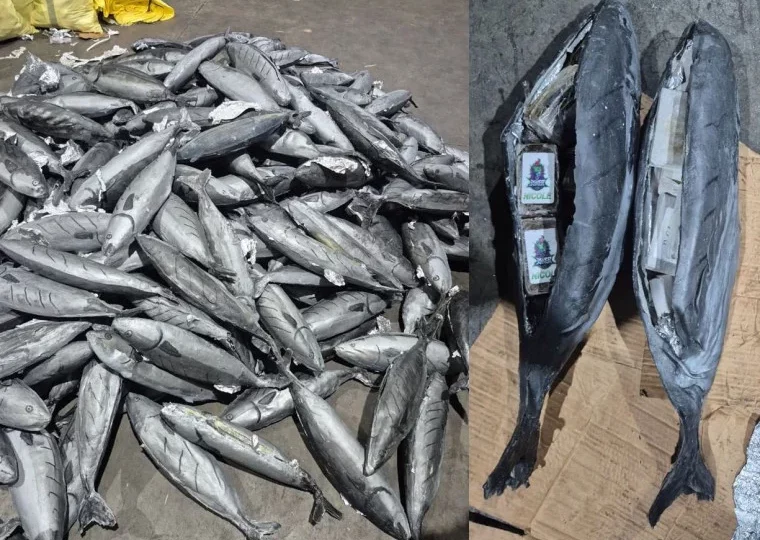 إحباط محاولة للتهريب الدولي للمخدرات وحجز ما يناهز 4 أطنان من مخدر الشيرا