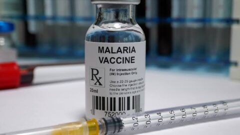 لقاح مبتكر ضد الملاريا يظهر نتائج واعدة في التجارب ما قبل السريرية
