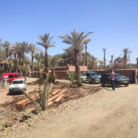 العثور على جثة الطفل يونس العلاوي بضواحي زاكورة بعد 10 أيام من الاختفاء