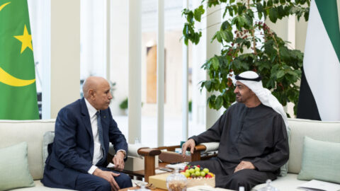 الرئيس الإماراتي ونظيره الموريتاني يبحثان التعاون الثنائي