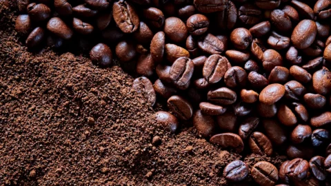 البرازيل.. صادرات البن تتراجع بأزيد من 21 في المائة