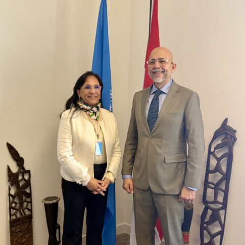 بوعياش تواصل الترافع من أجل النهوض بأدوار المؤسسات الوطنية لحقوق الإنسان