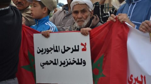 تنسيقية تحتج أمام البرلمان ضد “الرعي الاستثماري”