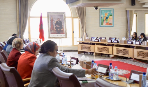 بميزانية فاقت 19 مليون درهم.. صندوق الدعم لتشجيع تمثيلية النساء يصادق على أكثر من 100 مشروع