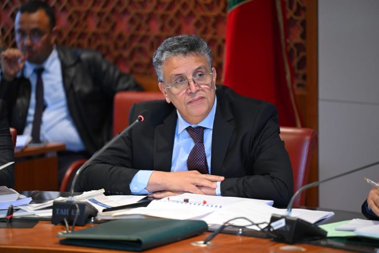 وهبي: مشروع قانون المحاماة سيُحدث طفرة غير مسبوقة في المشهد القضائي