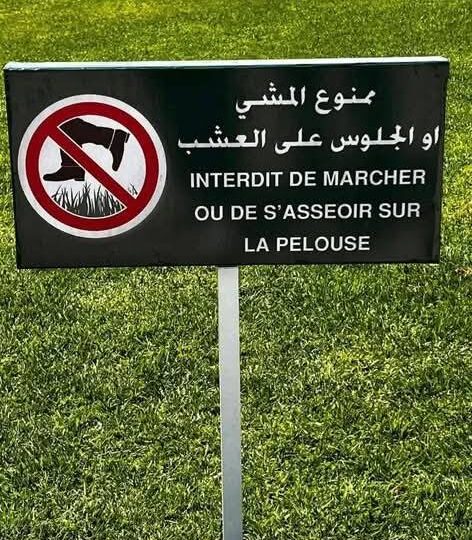 منع الجلوس فوق عشب الرباط يثير الجدل.. والحياني: العاصمة ليست “صالون ضيوف”