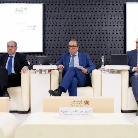 المجلس الاقتصادي: المغرب فقد 75% من أصناف حبوبه المحلية