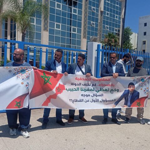 صحافيو الأقاليم الجنوبية يتظاهرون بالرباط للمطالبة بالاستفادة من الدعم العمومي