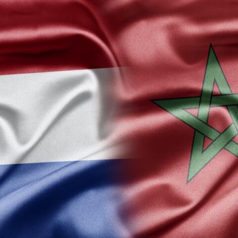أسود الأطلس أمام اختبار هولندي.. صداقة خارج الملعب وصراع على بطاقة العبور
