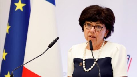 بسبب إقرار قانون يجيز مبيدات.. وزيرة الانتقال البيئي الفرنسية تدفع بالاستقالة